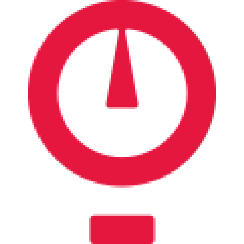 Cachapuz logo
