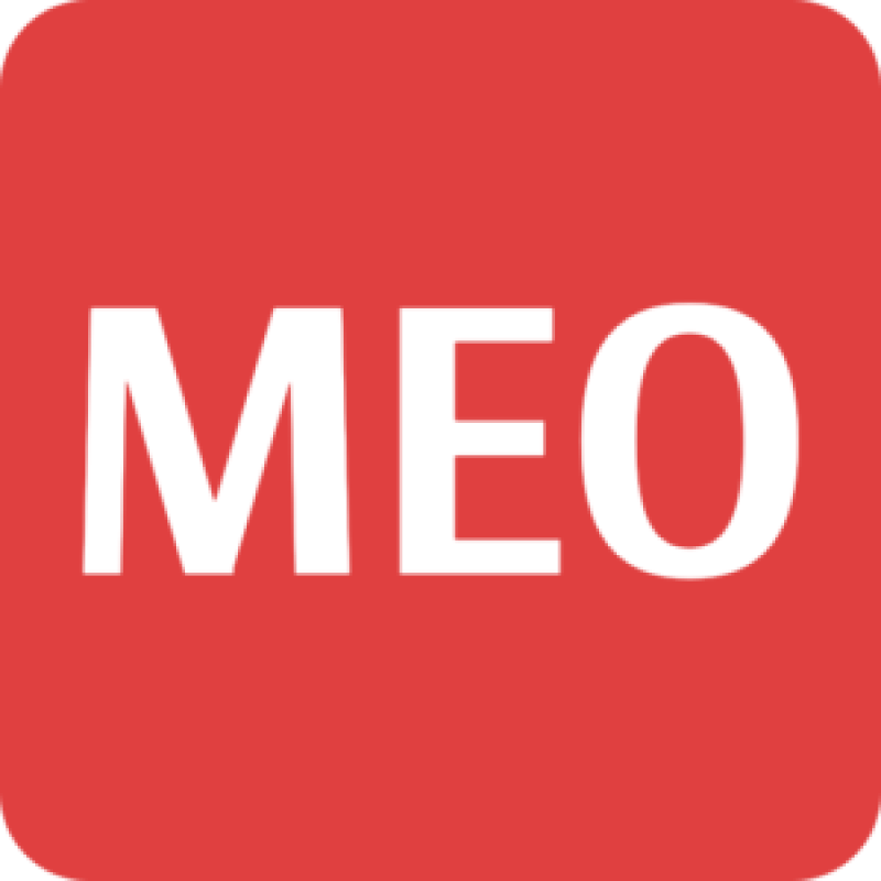 The Middle East Observer logo