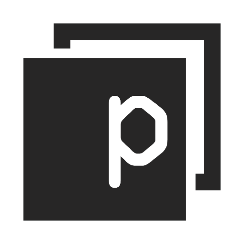 Panaseer logo