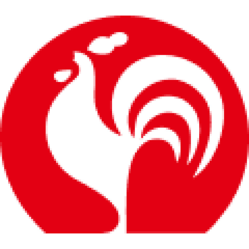 RAKS logo
