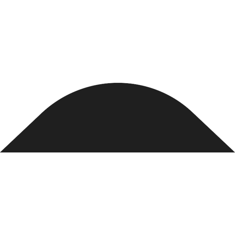 Passbolt logo