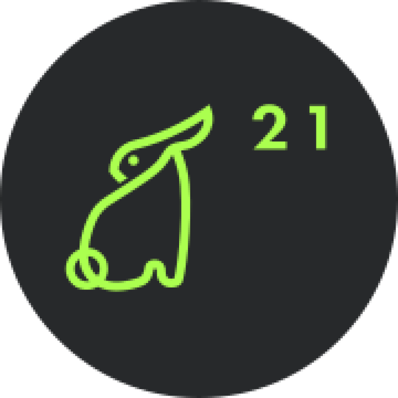 Retro Rabbit logo
