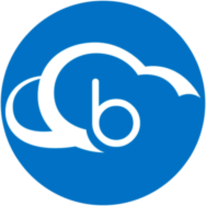 Bind ERP logo