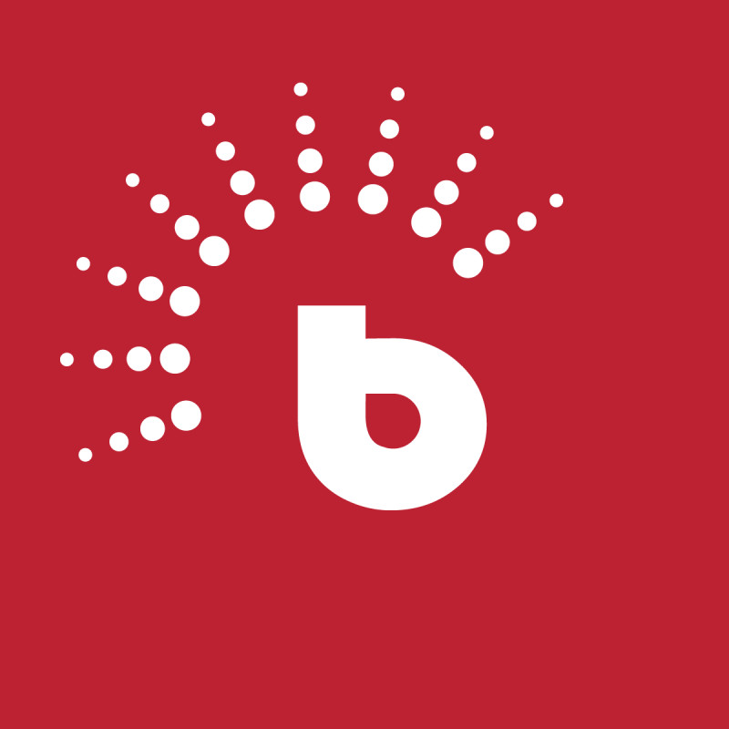 BrighterMonday logo