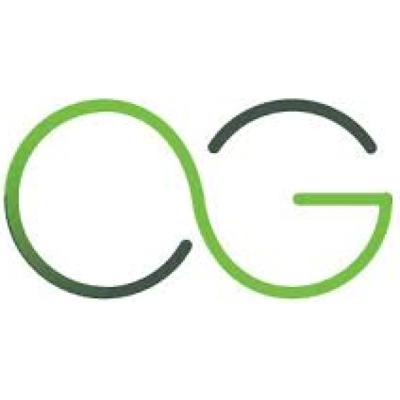Ginesys logo