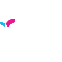 Skynamo logo