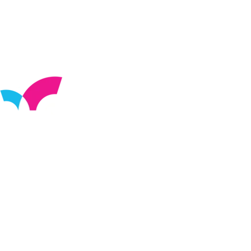 Skynamo logo