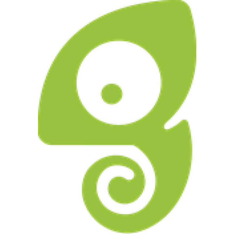Chameleon logo