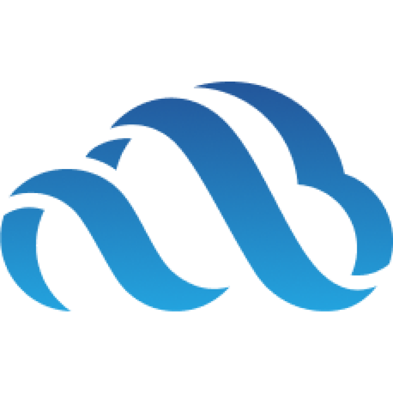 VikingCloud logo