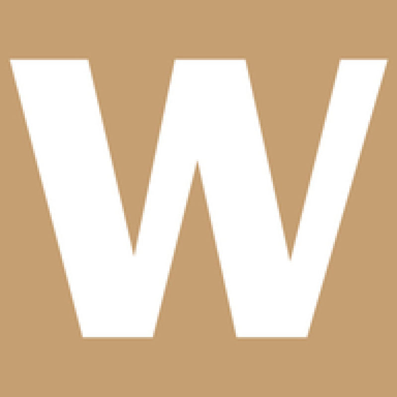 Electra wowbikes logo