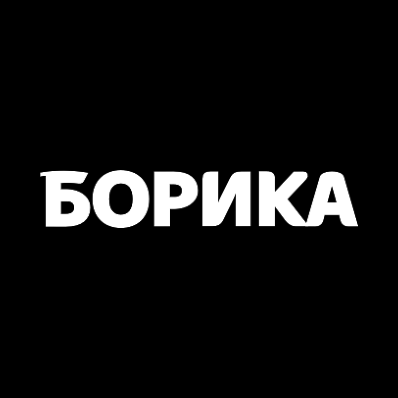 BORICA logo