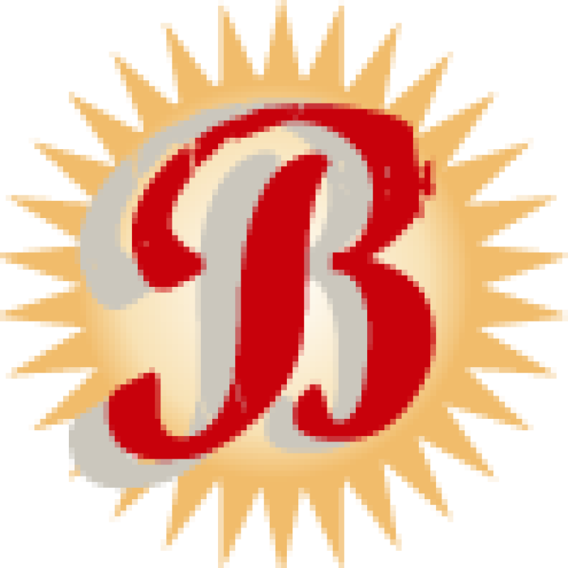 Brand Innovators logo