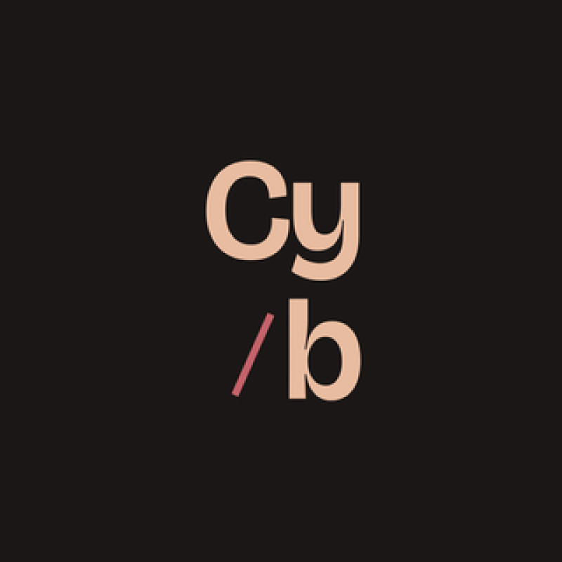 Cybernetica