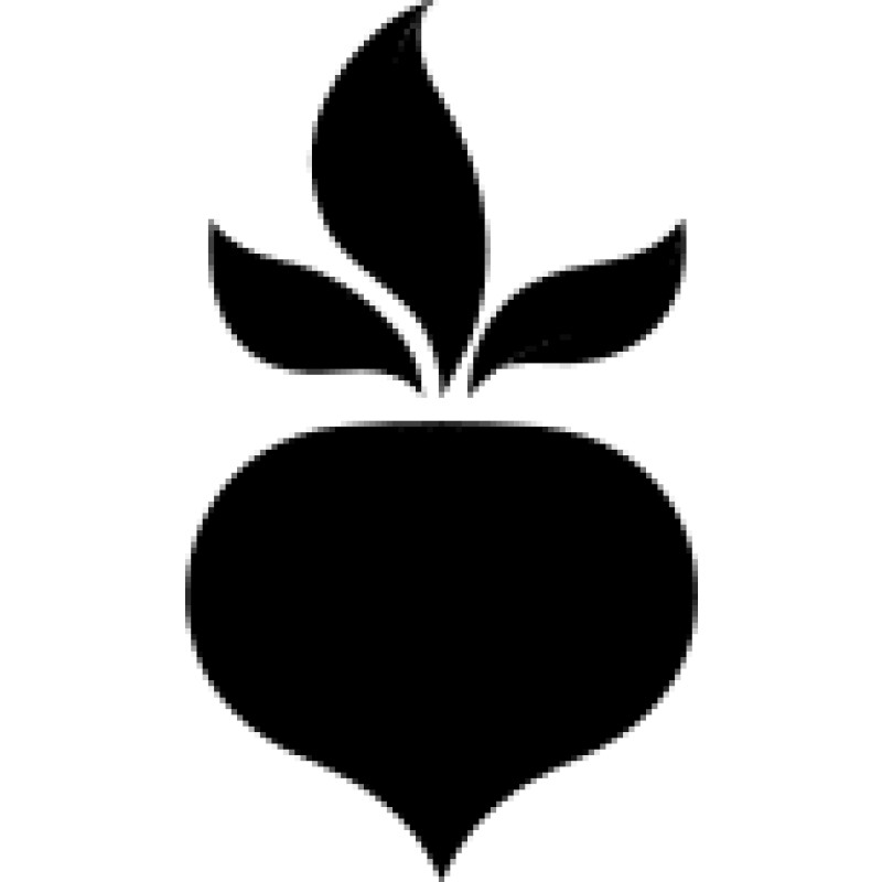 BeetsBlog logo