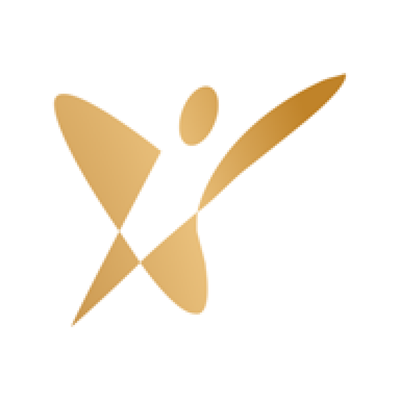 BFI Groupe logo
