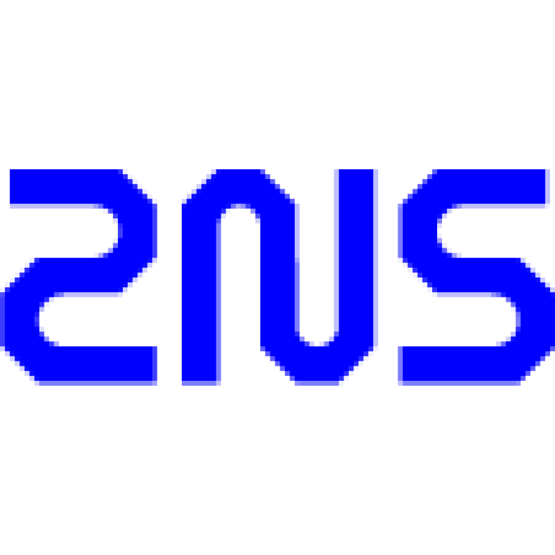 Second Nature Security logo