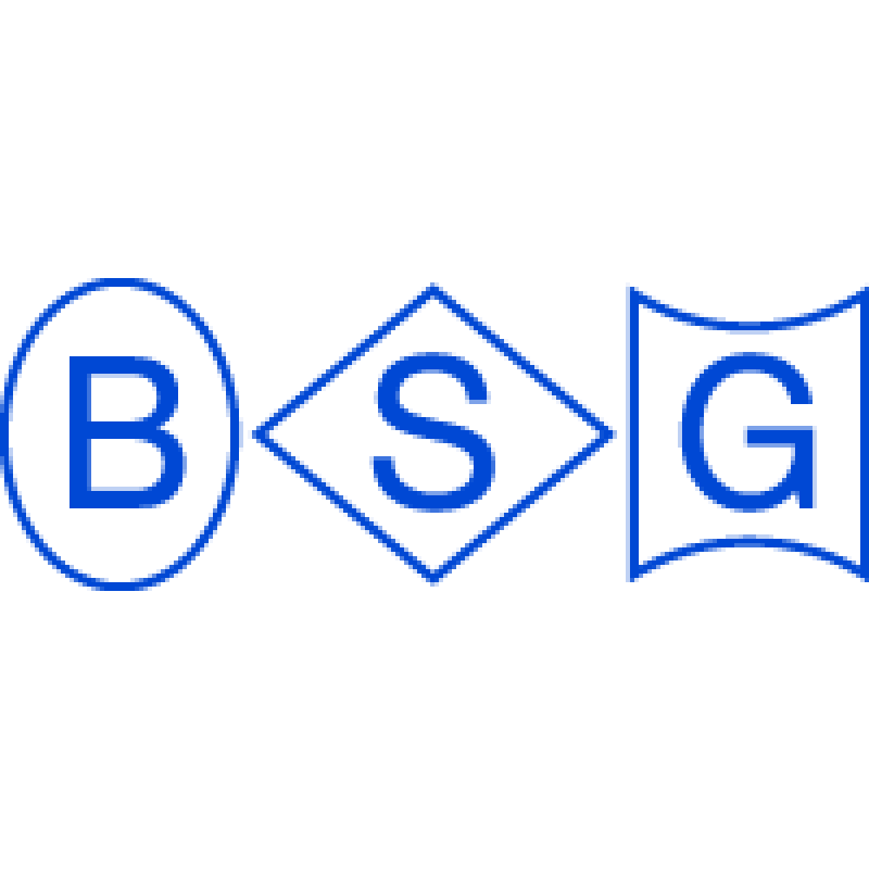 Berezha Security Group logo