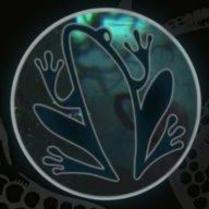 Frogwares logo