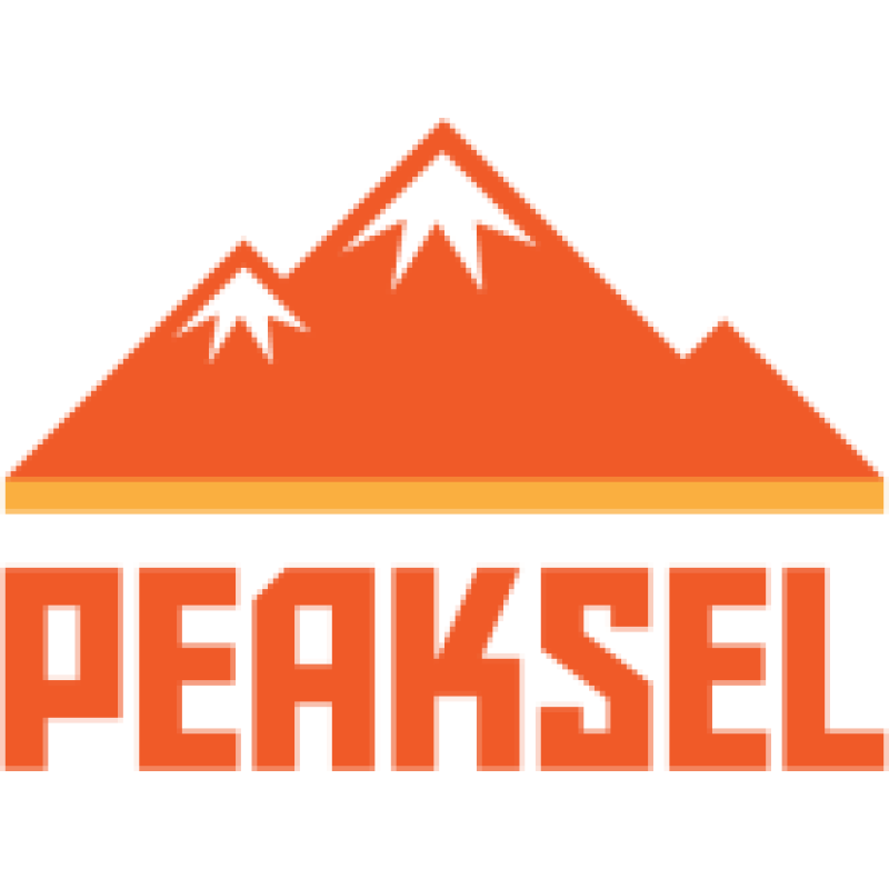Peaksel logo