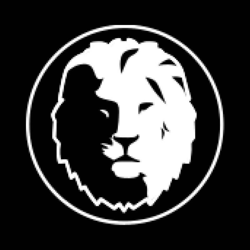 Русская Школа Управления logo