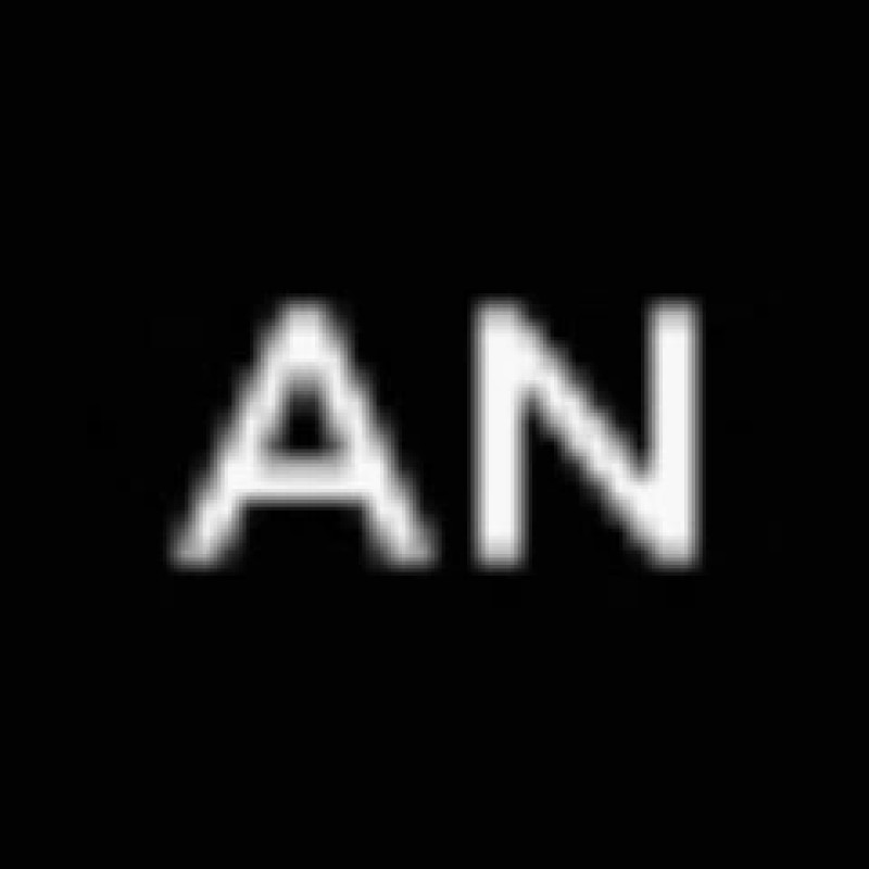 Anatomy Next logo