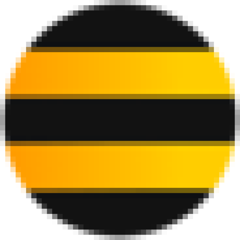 Beeline Kyrgyzstan logo
