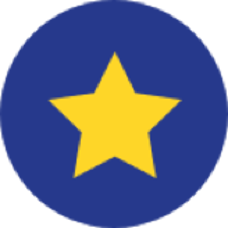 Themayor logo