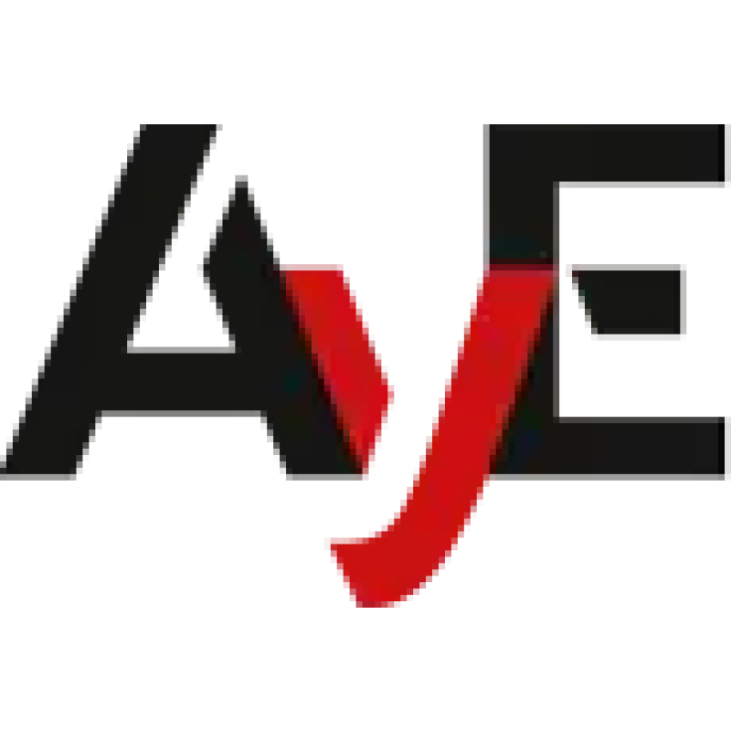 Diario AyE logo