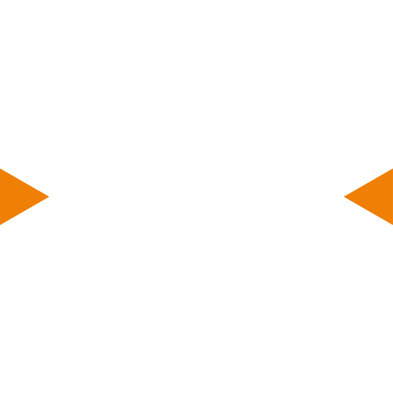 Veebimajutus logo