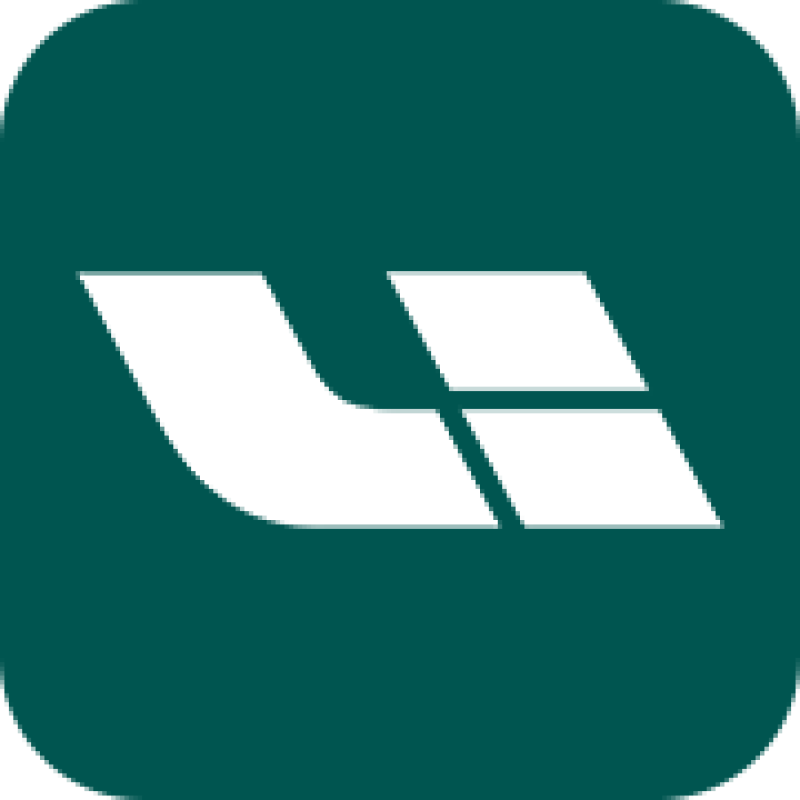 Li Auto logo