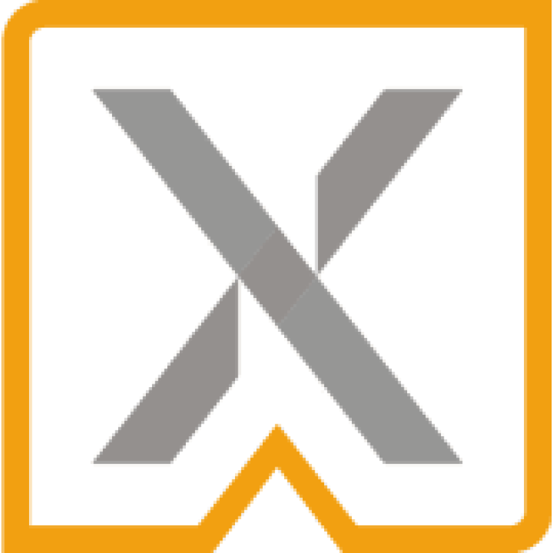 Lanix logo