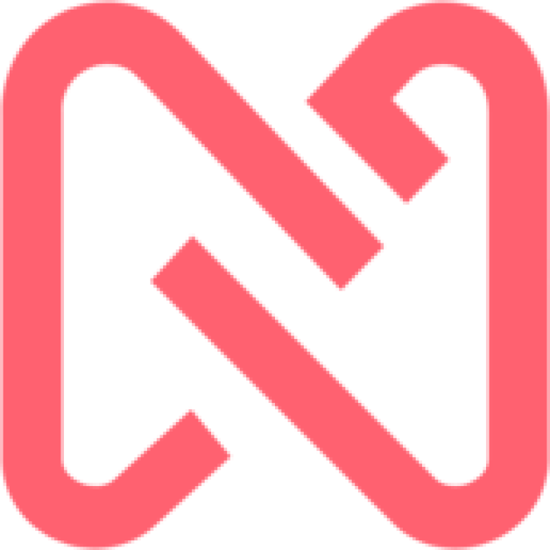 NetMechanics logo