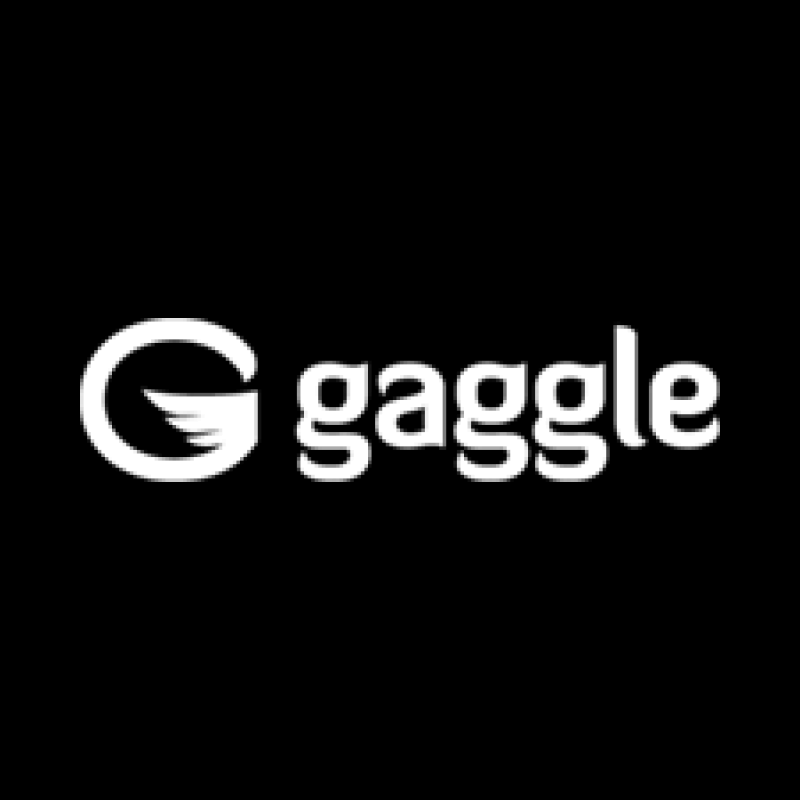 Gaggle logo