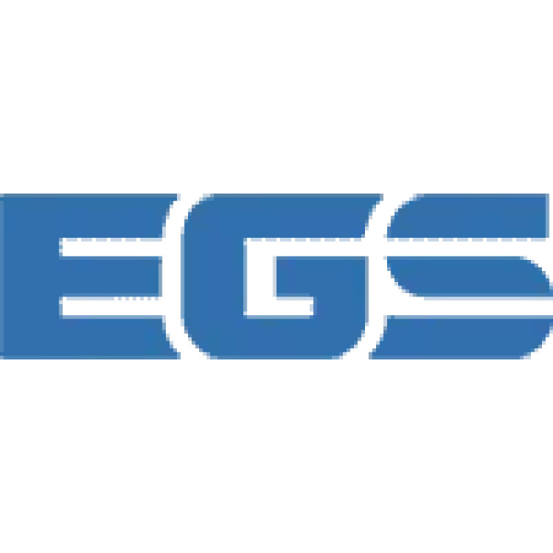 Energize Global Services logo