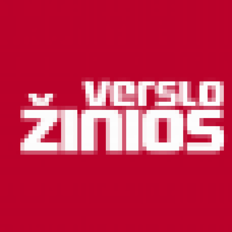 vz.lt