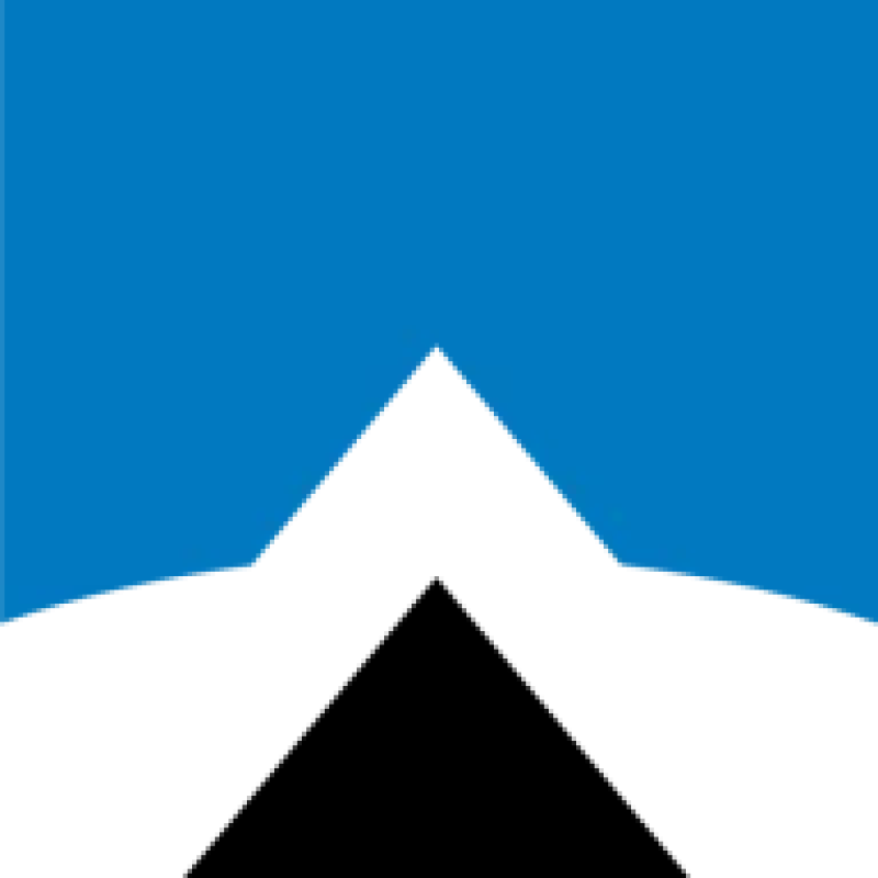 Calian Group logo