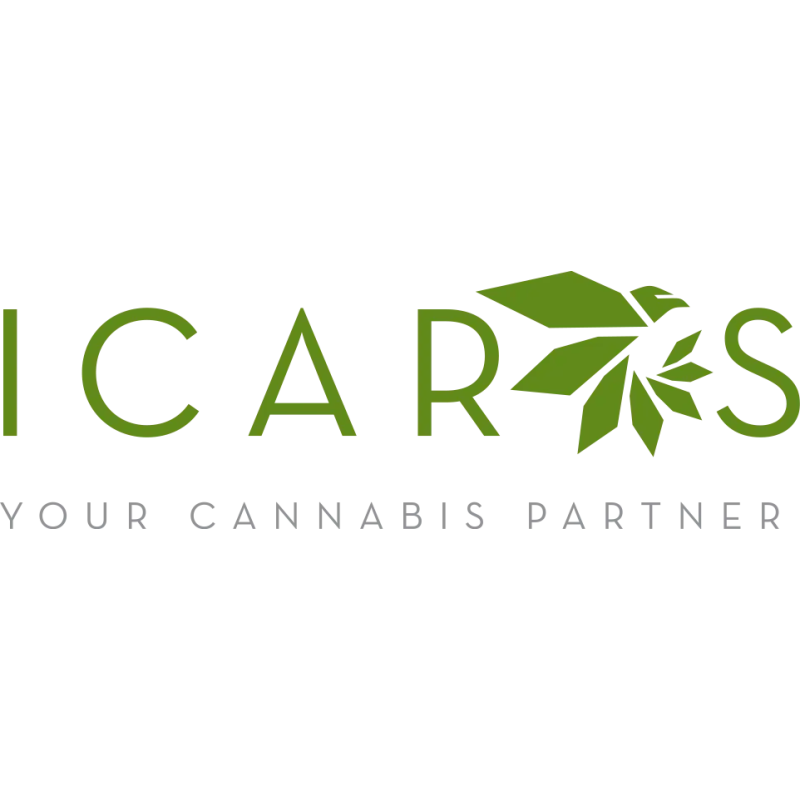 Icarus Digital Marketing logo