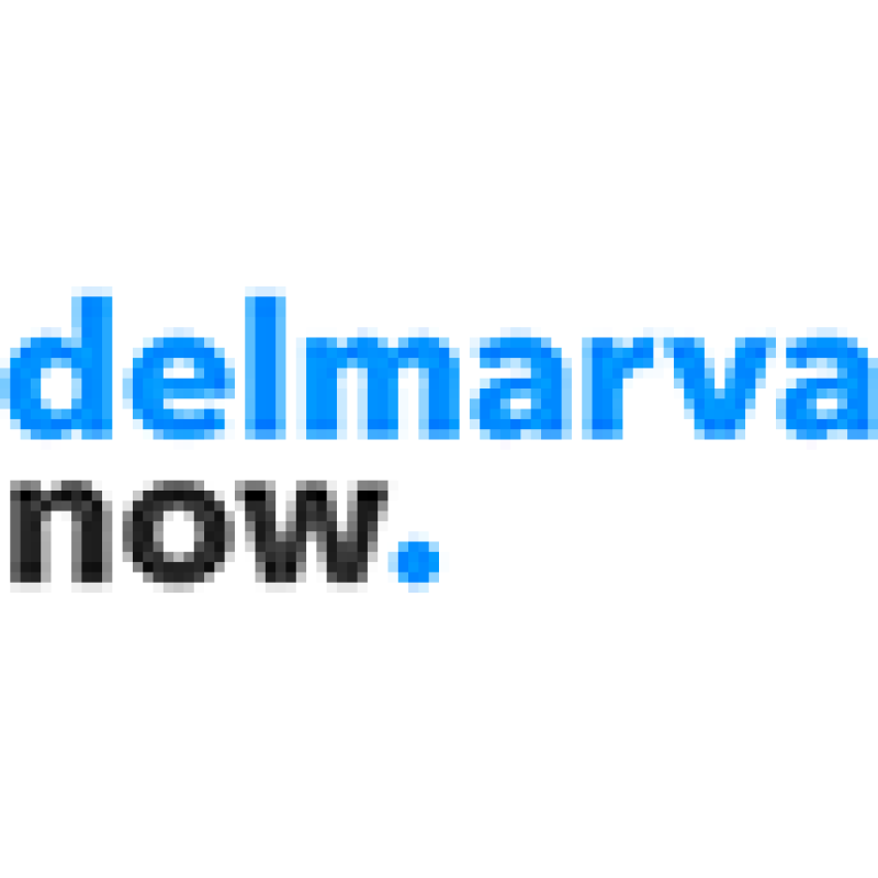 Salisbury Daily Times logo