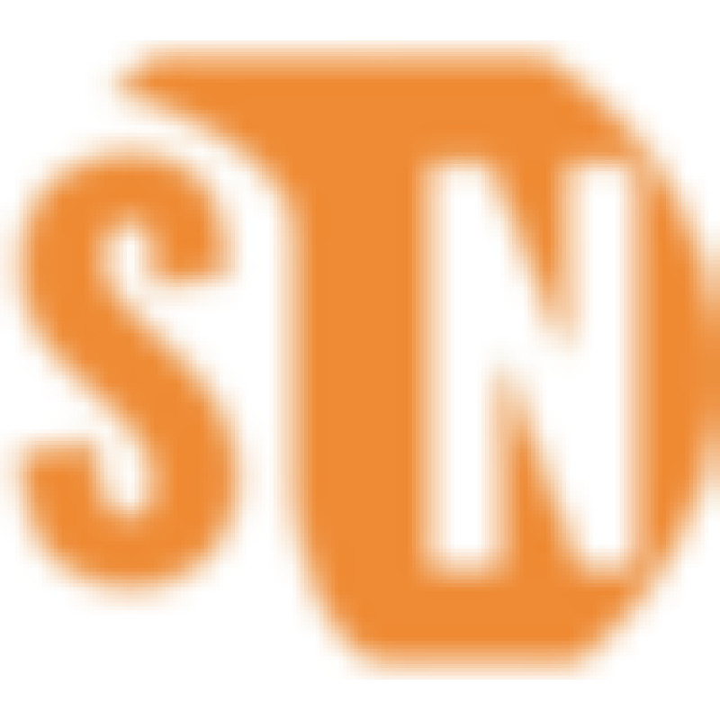 NewsSeguros logo