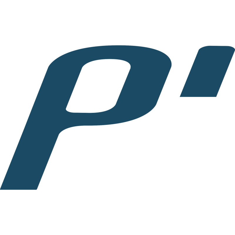 Ping logo