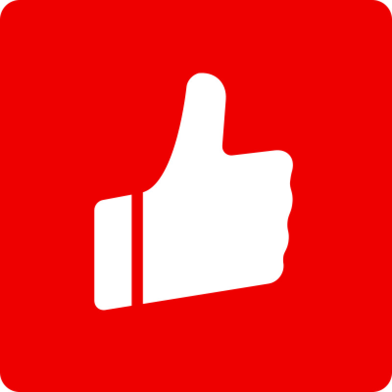 Youzan logo