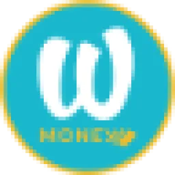 Wizall Money logo