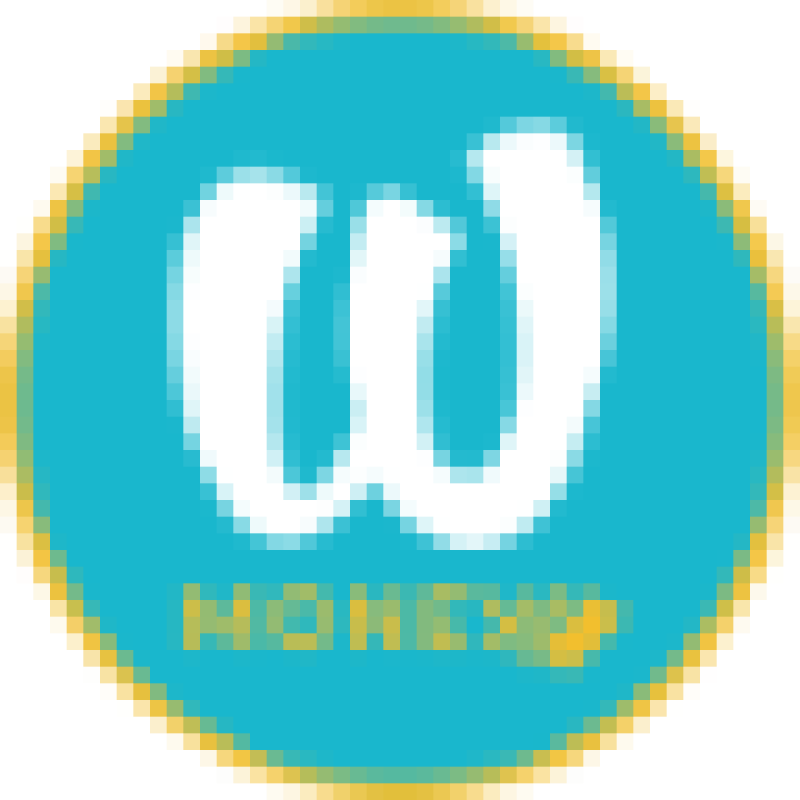 Wizall Money logo