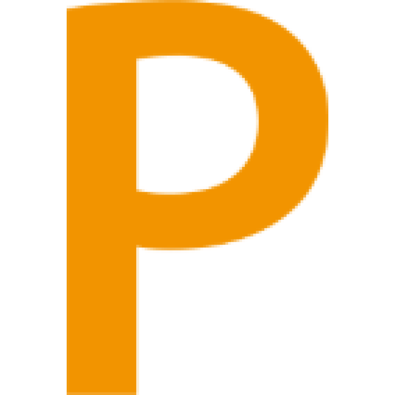 Precise Biometrics logo