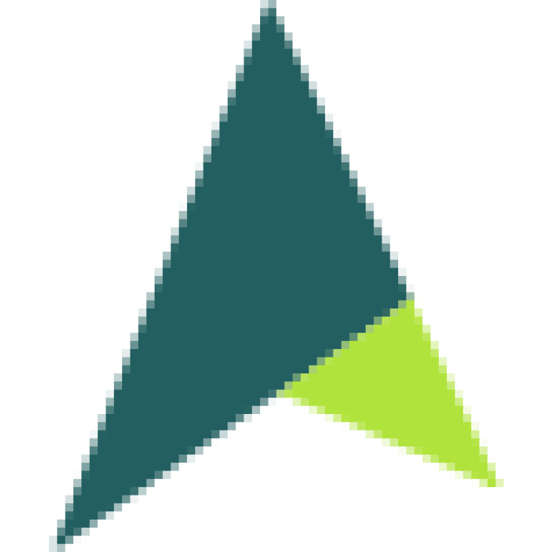 SAVY logo
