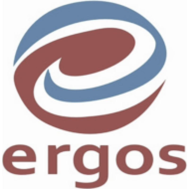 Ergos Business Solutions logo