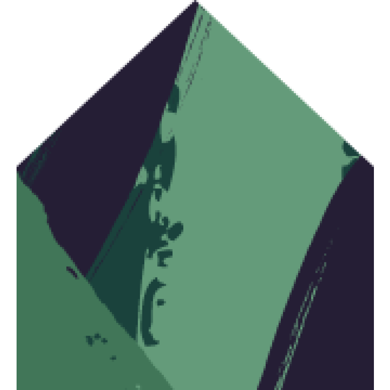 Pacaso logo