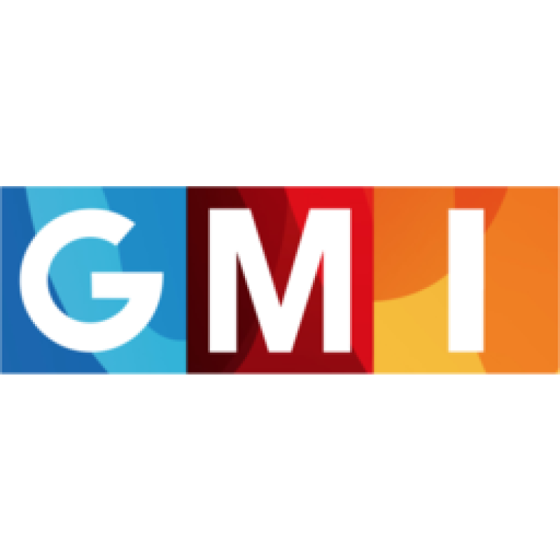 Official GMI Blog logo
