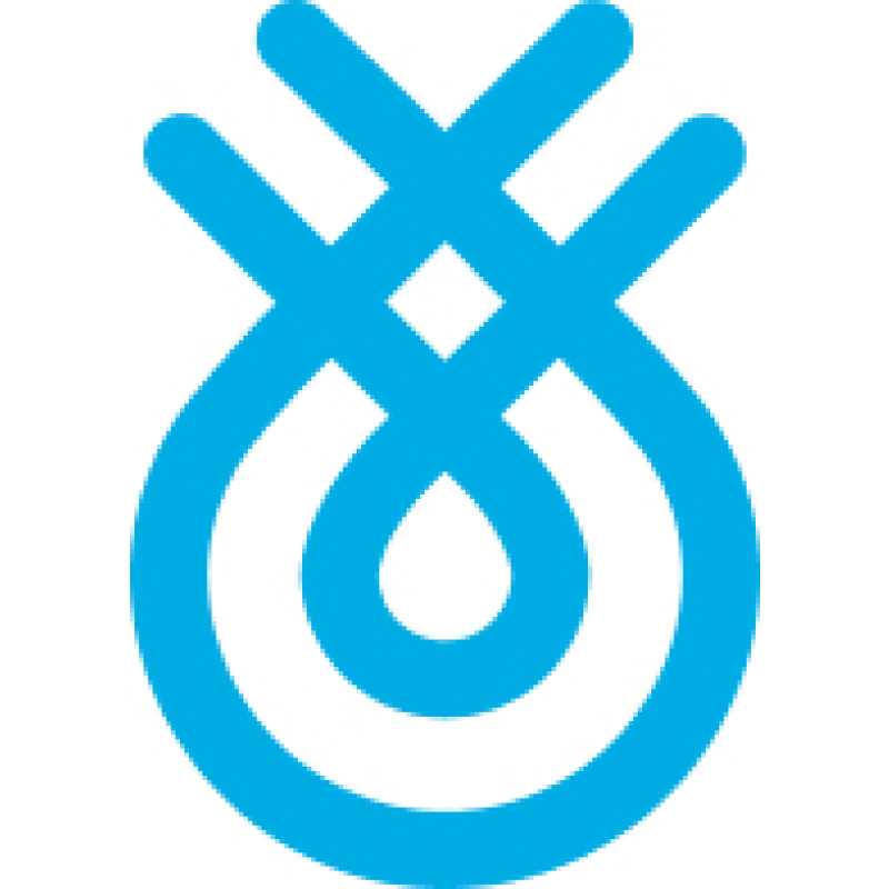 Flinks logo