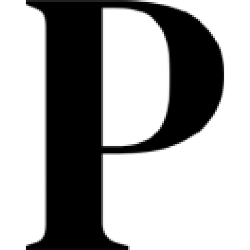 Prague Post logo